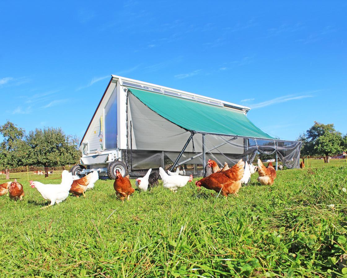 Gasthaus Zum Bauernhof Oberlunkhofen Ngoại thất bức ảnh